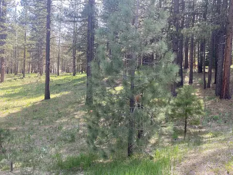 247 Gold Nugget Ln, Graeagle, CA 96103 photo 6