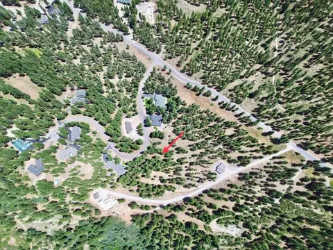 247 Gold Nugget Ln, Graeagle, CA 96103 photo 7