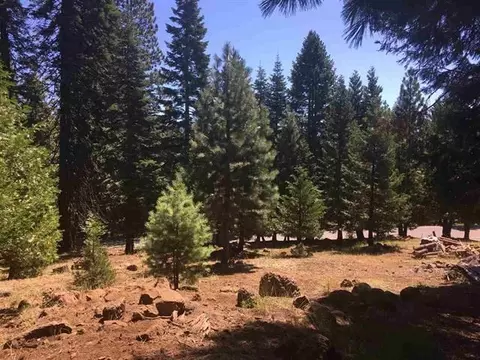 1019 Timber Ridge Rd, Lake Almanor, CA 96137