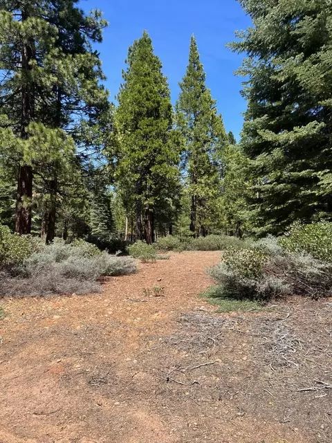 146 Foxglenn Dr, Lake Almanor, CA 96137