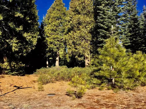 95 Fox Pine Dr, Lake Almanor, CA 96137