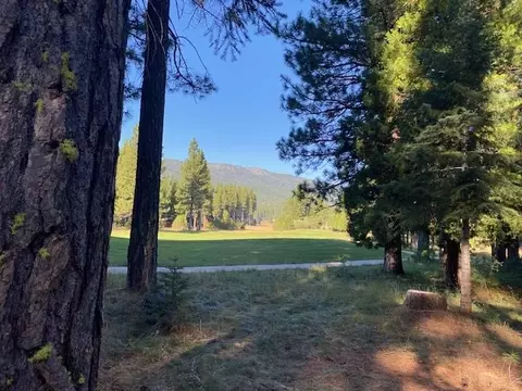 945 Prospector Dr, Clio, CA 96106 photo 3