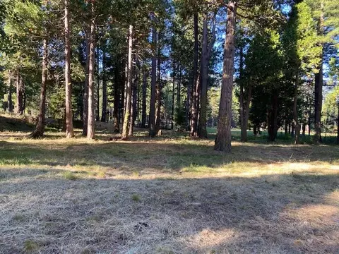 945 Prospector Dr, Clio, CA 96106 photo 7