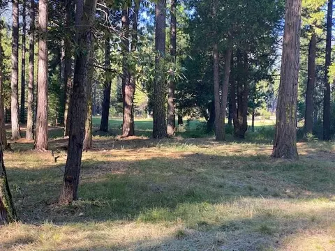 945 Prospector Dr, Clio, CA 96106