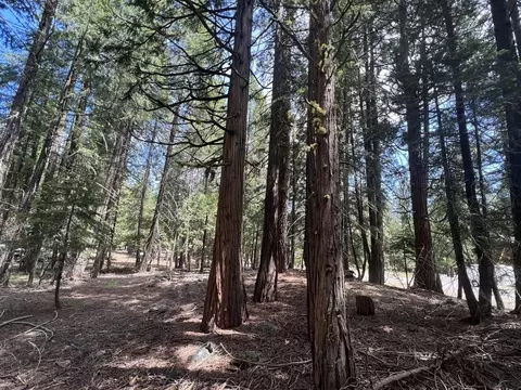 30 Mohave Trl, Graeagle, CA 96103