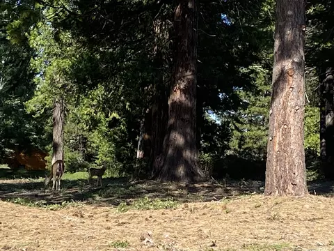 1208 White Fir Trl, Lake Almanor West, CA 96137