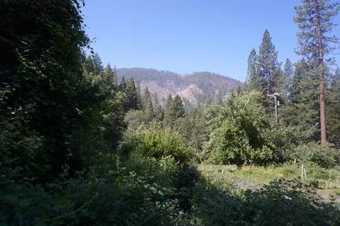 400 Rush Creek Rd, Twain, CA 95984 photo 18