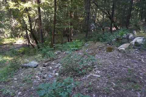 400 Rush Creek Rd, Twain, CA 95984 photo 28