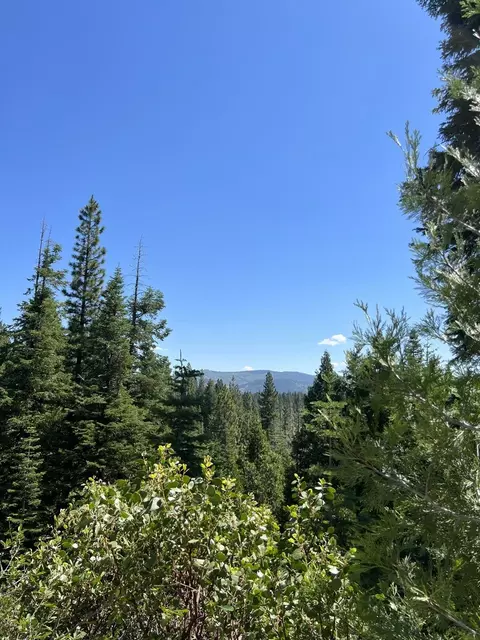 1350 Lodgepole Trl, Johnsville, CA 96103