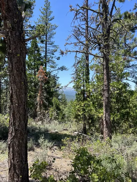 1220 Raccoon Rd, Clio, CA 96106