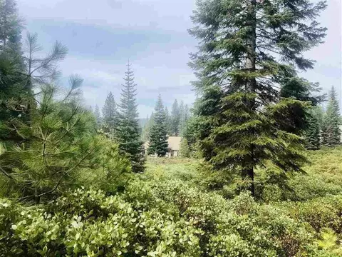 92 Fox Peak Dr, Lake Almanor, CA 96137
