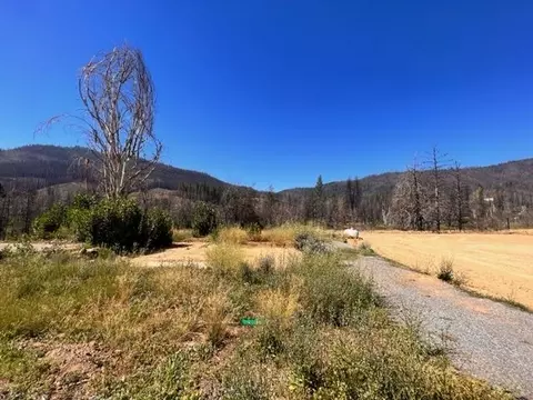 123 Ayoob Aly, Greenville, CA 95947