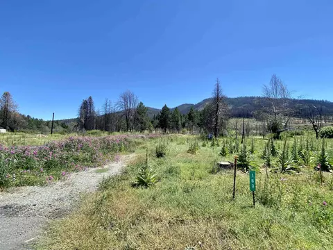163 Hot Springs Rd, Greenville, CA 95947