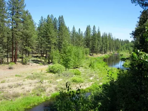 392 Sequoia Cir, Blairsden, CA 96103 photo 21