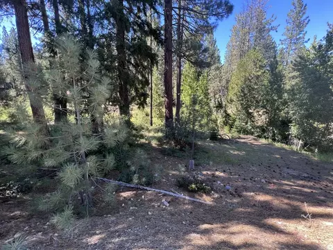 392 Sequoia Cir, Blairsden, CA 96103 photo 12