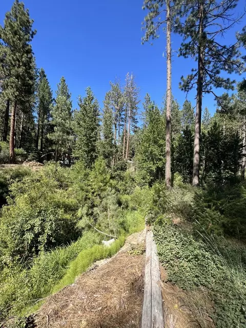 392 Sequoia Cir, Blairsden, CA 96103 photo 16