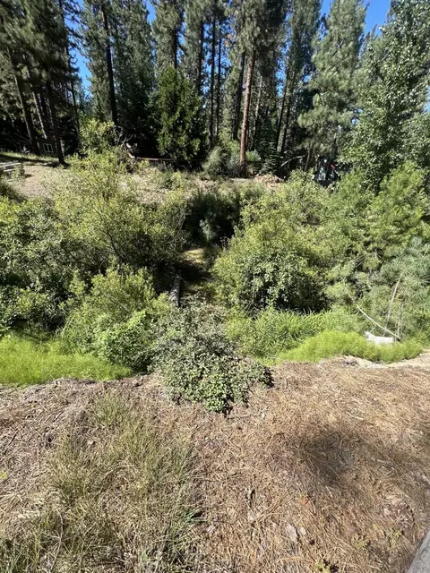 392 Sequoia Cir, Blairsden, CA 96103 photo 15