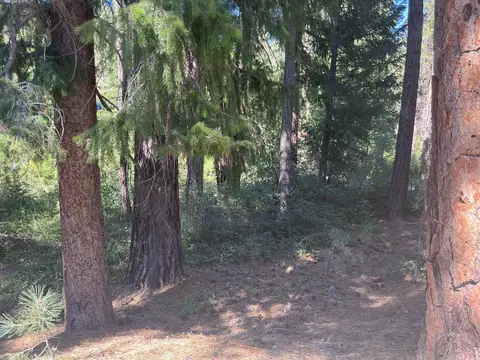 392 Sequoia Cir, Blairsden, CA 96103 photo 8