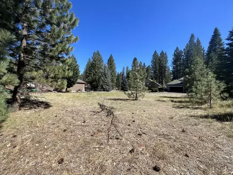 392 Sequoia Cir, Blairsden, CA 96103 photo 11
