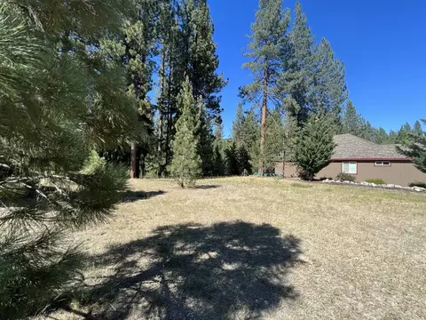 392 Sequoia Cir, Blairsden, CA 96103 photo 18