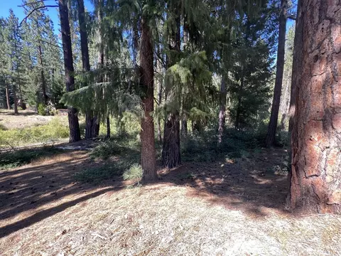 392 Sequoia Cir, Blairsden, CA 96103 photo 9