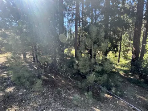392 Sequoia Cir, Blairsden, CA 96103 photo 13