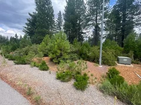 121 Frostwood Ln, Lake Almanor, CA 96137