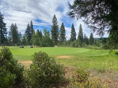 991 Red River Dr, Lake Almanor, CA 96137