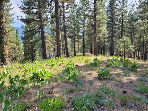 221 Cayden Dr, Clio, CA 96106