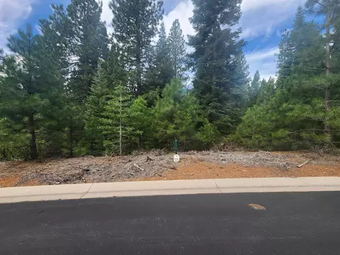 172 Fox Crest Dr, Lake Almanor, CA 96137