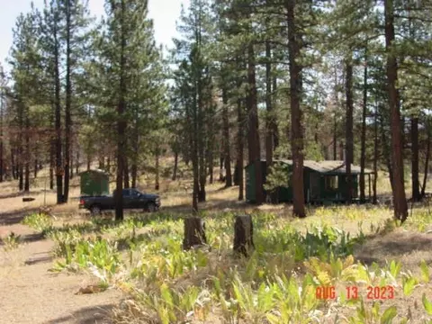 10666 Dixie Valley Rd, Chilcoot, CA 96105 photo 17