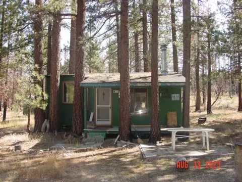 10666 Dixie Valley Rd, Chilcoot, CA 96105 photo 2