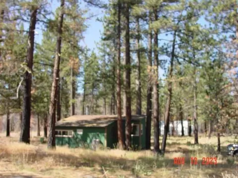 10666 Dixie Valley Rd, Chilcoot, CA 96105 photo 3