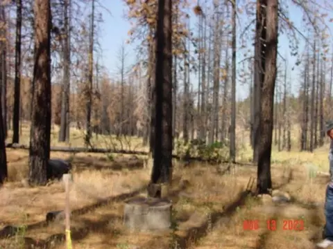 10666 Dixie Valley Rd, Chilcoot, CA 96105 photo 10