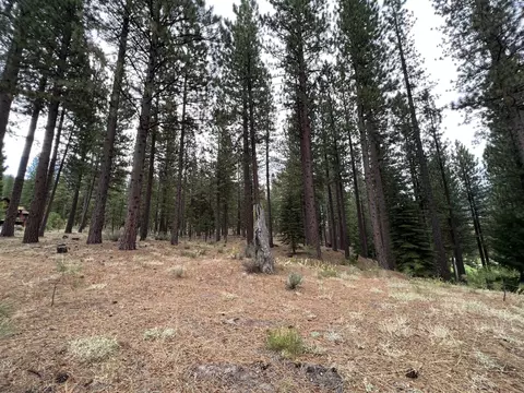 180 Saddle Ridge Rd, Clio, CA 96106 photo 13