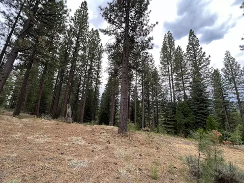 180 Saddle Ridge Rd, Clio, CA 96106 photo 15