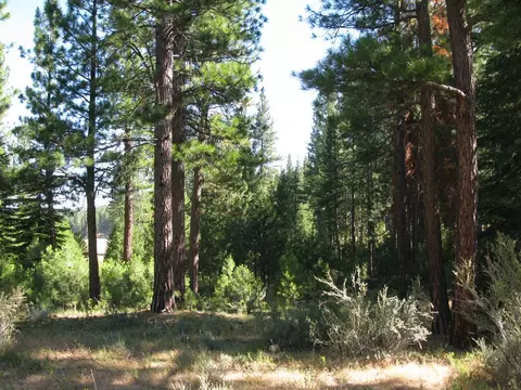 180 Saddle Ridge Rd, Clio, CA 96106 photo 21