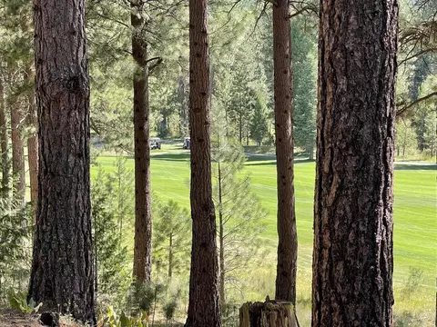 180 Saddle Ridge Rd, Clio, CA 96106 photo 5