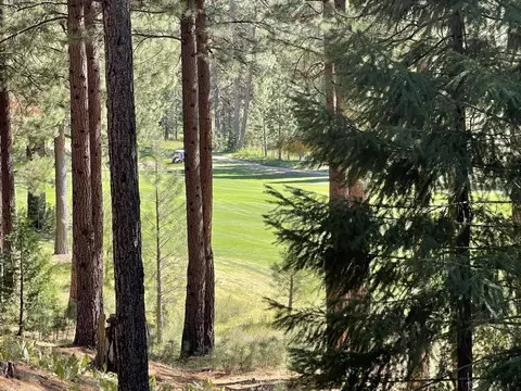 180 Saddle Ridge Rd, Clio, CA 96106 photo 3