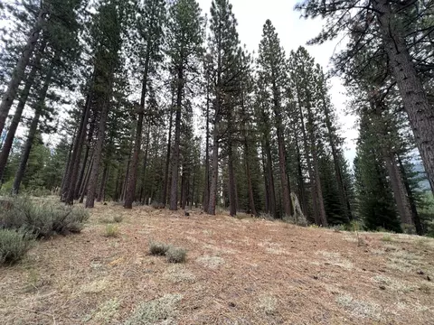 180 Saddle Ridge Rd, Clio, CA 96106 photo 17