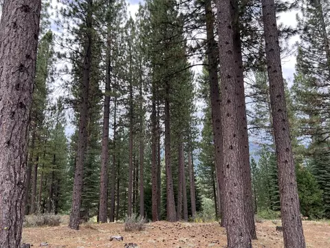 180 Saddle Ridge Rd, Clio, CA 96106 photo 12