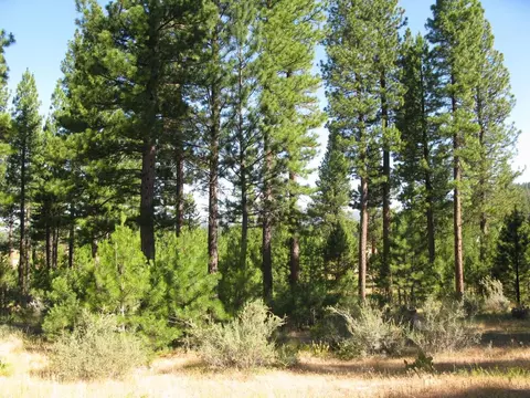 180 Saddle Ridge Rd, Clio, CA 96106 photo 22