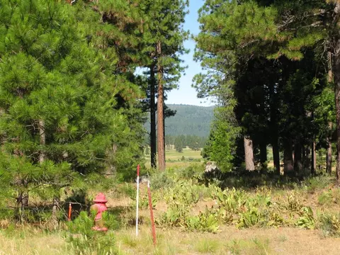180 Saddle Ridge Rd, Clio, CA 96106 photo 25