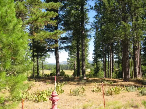 180 Saddle Ridge Rd, Clio, CA 96106 photo 27