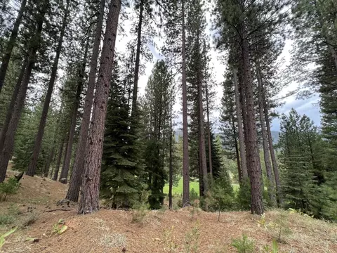 180 Saddle Ridge Rd, Clio, CA 96106 photo 16