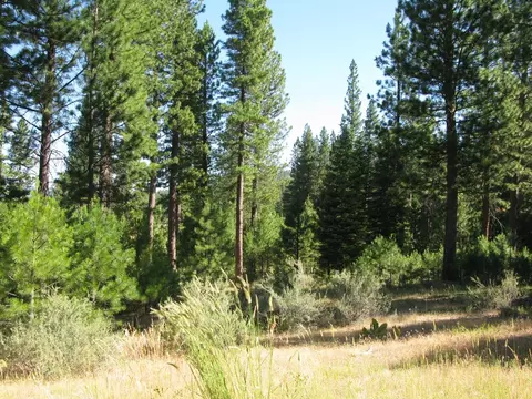 180 Saddle Ridge Rd, Clio, CA 96106 photo 23
