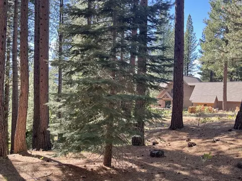 180 Saddle Ridge Rd, Clio, CA 96106 photo 8