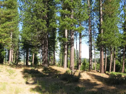 180 Saddle Ridge Rd, Clio, CA 96106 photo 24