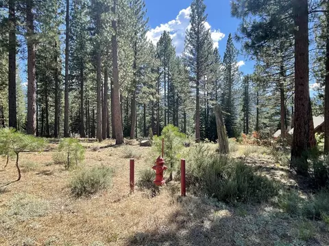 180 Saddle Ridge Rd, Clio, CA 96106 photo 9