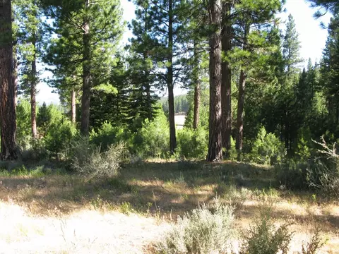 180 Saddle Ridge Rd, Clio, CA 96106 photo 20